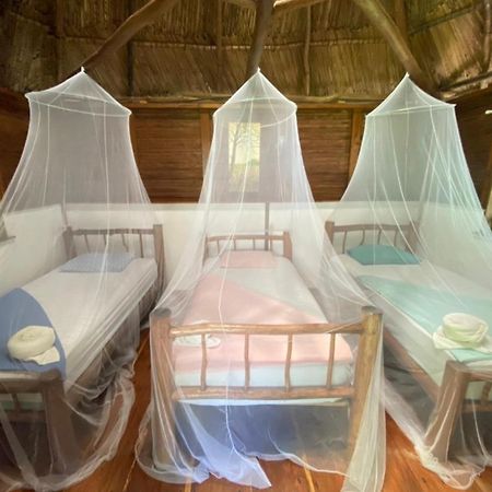 Casa De La Iguana Hostel ลิฟวิงสตัน ภายนอก รูปภาพ