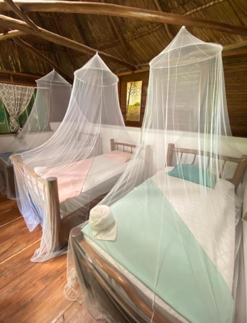Casa De La Iguana Hostel ลิฟวิงสตัน ภายนอก รูปภาพ
